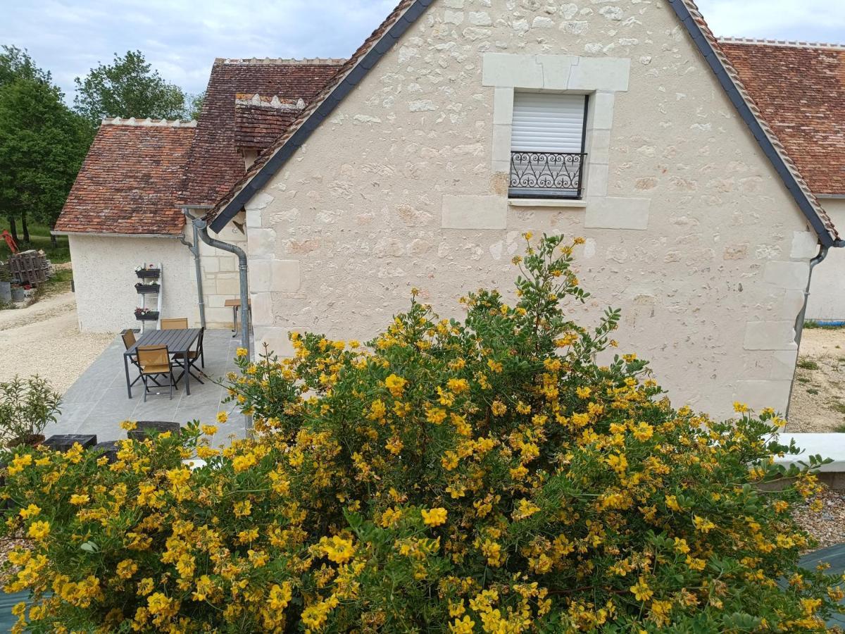 Gite De La Grand Maison Le Noyer Seigy Exterior photo